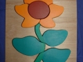 Sonnenblume