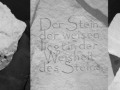 Stein